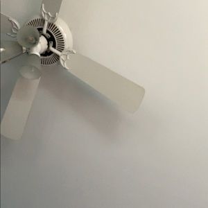 Meet your Posher, Connor